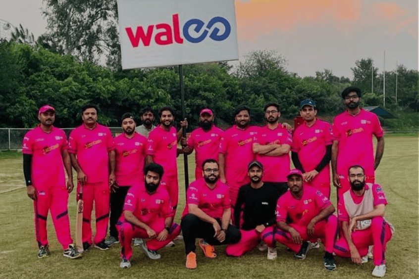 walee-cricket