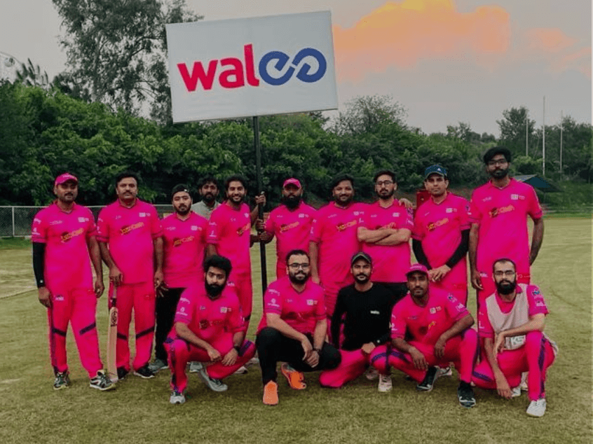 walee-cricket